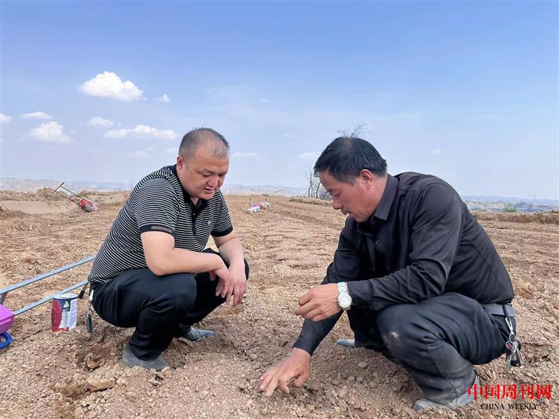 左大禹街道办副主任 乔伟.jpg 左大禹街道办副主任 乔伟.jpg