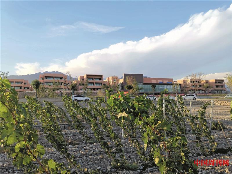 微信图片_20230925101031.jpg 微信图片_20230925101031.jpg