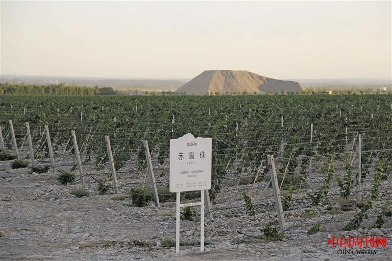 微信图片_20230925104200.jpg 微信图片_20230925104200.jpg