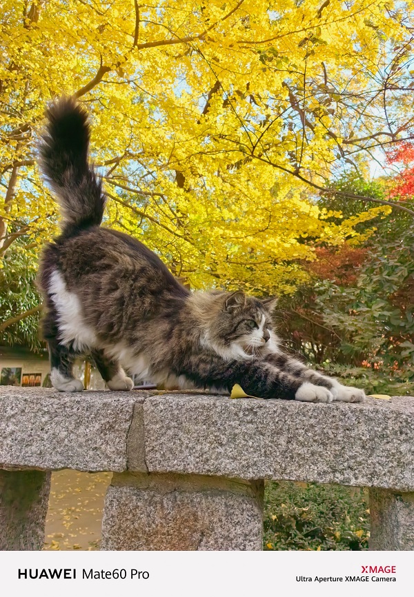 1701503968121493.jpg 图片2.jpg