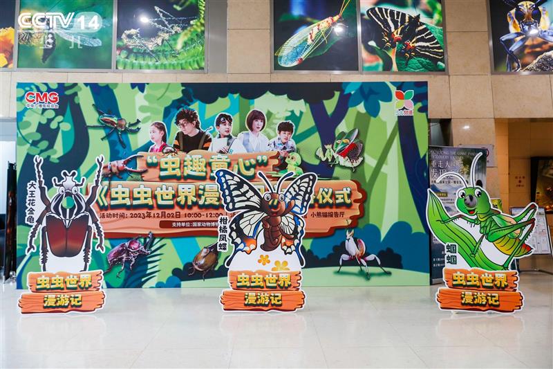 1701500531906748.jpg 3.jpg