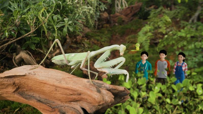 1701500576342459.jpg 9.jpg