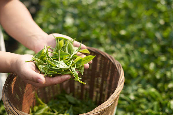 1701657077807700.png 图片 4.png