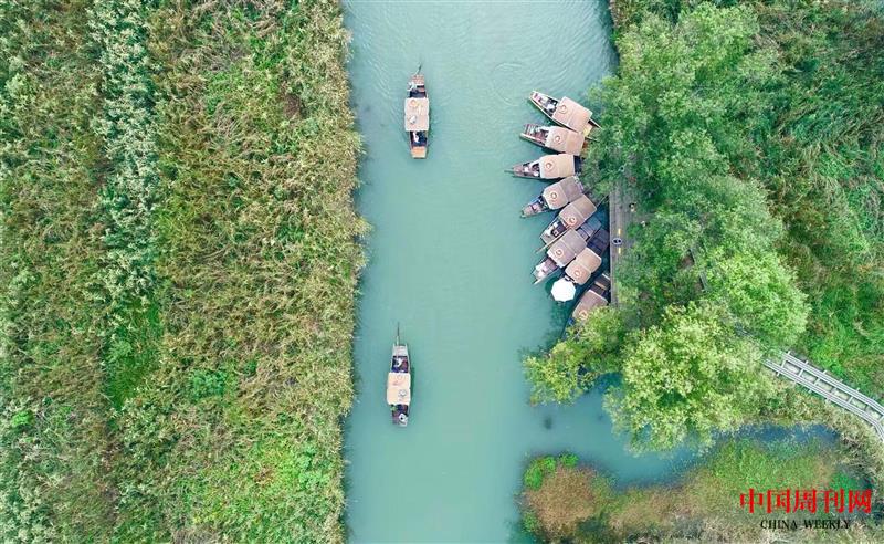 杭州西溪湿地公园鸟瞰.jpg