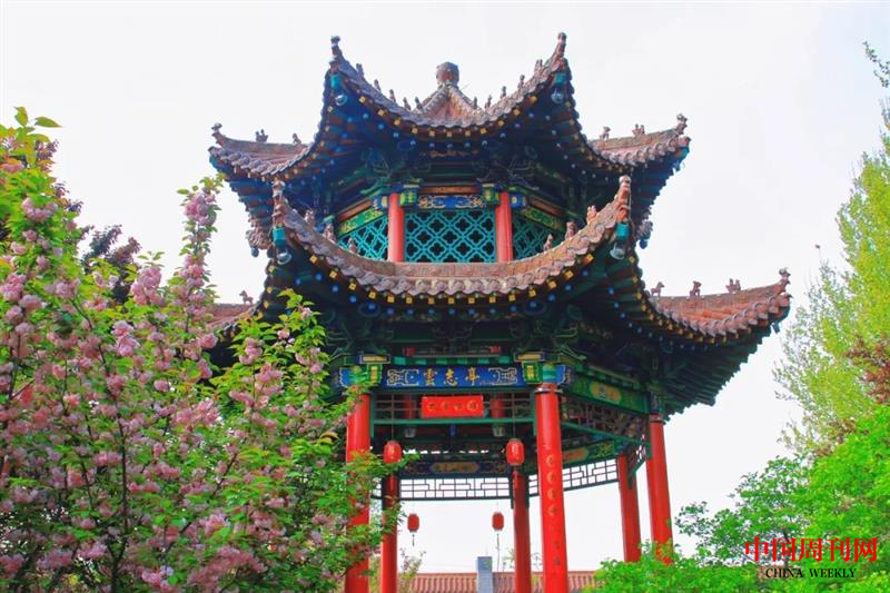 图片6.png