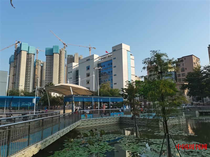 光明区凤凰塘尾党建引领谋发展 凝心聚力促振兴