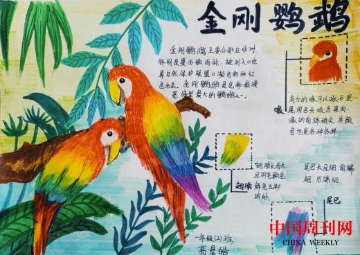 1709631727991.jpg 1709631727991.jpg