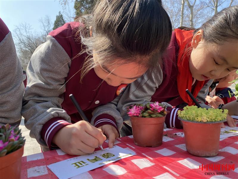 1710226806892.jpg 1710226806892.jpg