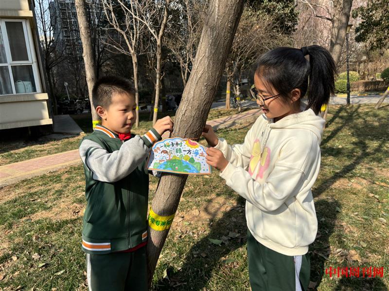 mmexport1710229372368.jpg mmexport1710229372368.jpg