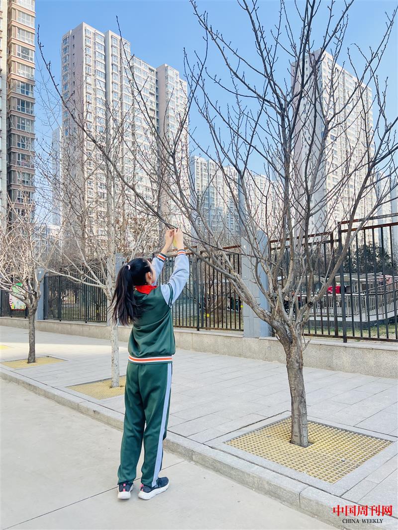 mmexport1710229396787.jpg mmexport1710229396787.jpg