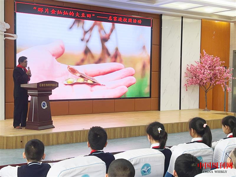 图片3.png 图片3.png