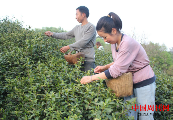 微信截图_20240419094638.png 微信截图_20240419094638.png