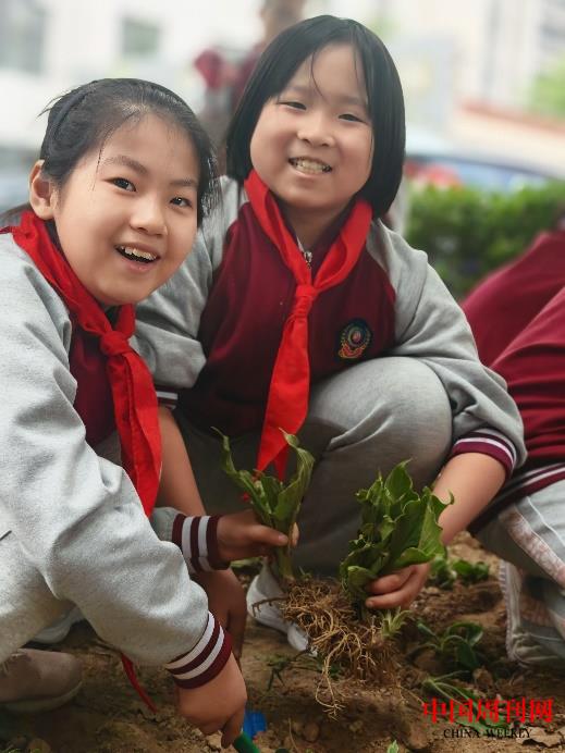 1714267052871.jpg 1714267052871.jpg