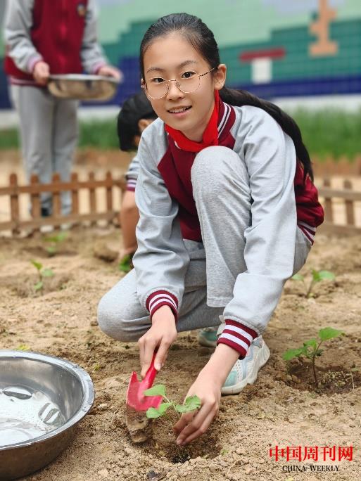 1714267050411.jpg 1714267050411.jpg