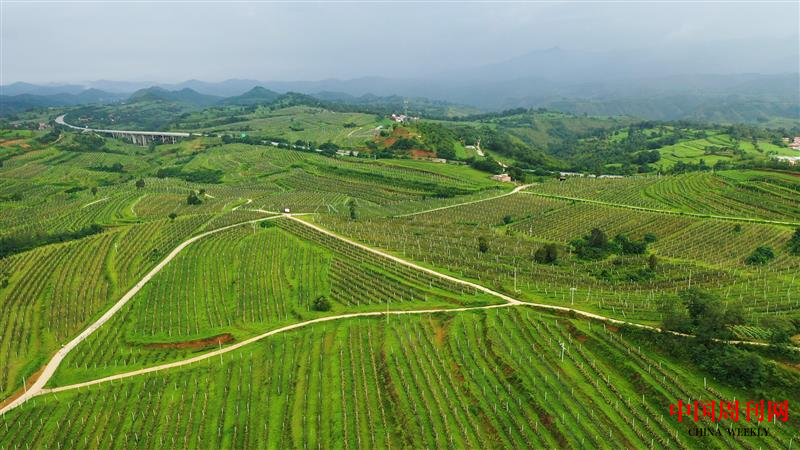 f899bf7ac0912a1046bea4bc5b3052c.png f899bf7ac0912a1046bea4bc5b3052c.png