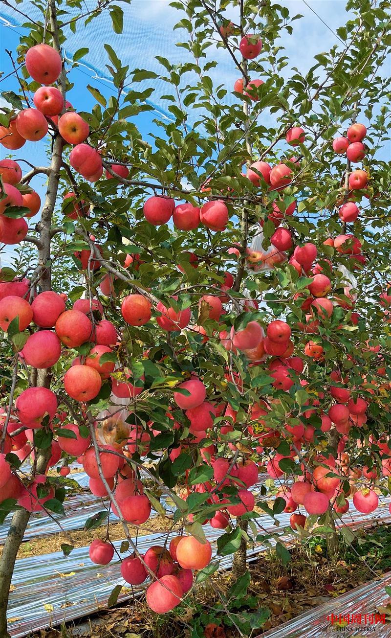 06e559389f9f554a8d71317b00688c5.jpg 06e559389f9f554a8d71317b00688c5.jpg