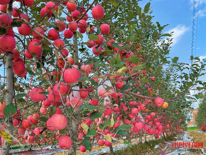 003cf273c793ebbfae94902a2dd25ed.jpg 003cf273c793ebbfae94902a2dd25ed.jpg