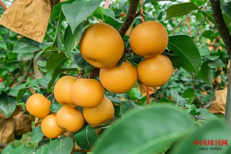 af3eea848d59d99df29a7f12734feb6.jpg af3eea848d59d99df29a7f12734feb6.jpg