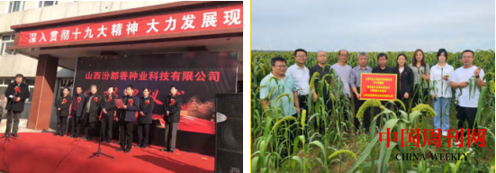 图片7.png 图片7.png