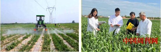 图片8.png 图片8.png