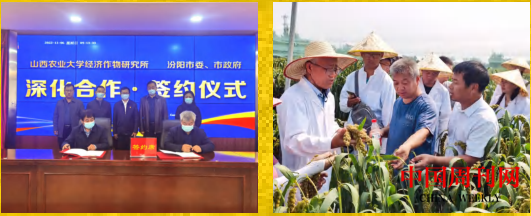 图片19.png 图片19.png