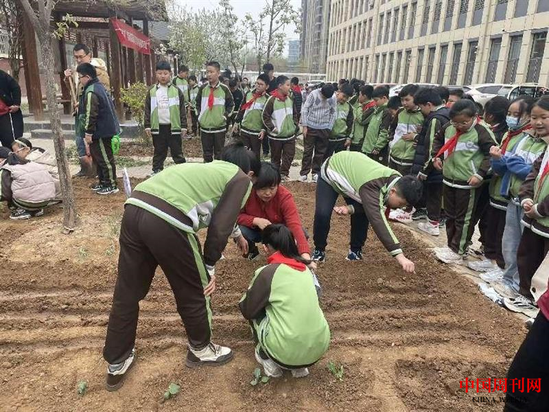 图片10.png 图片10.png