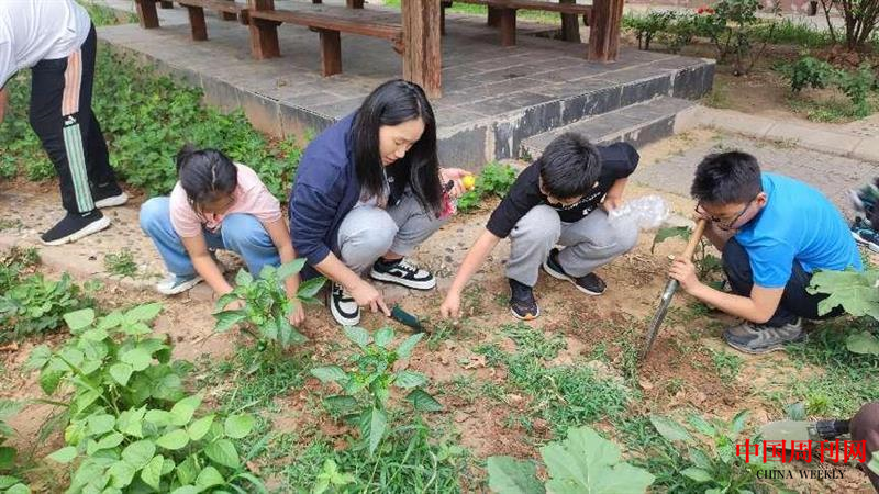 图片12.png 图片12.png