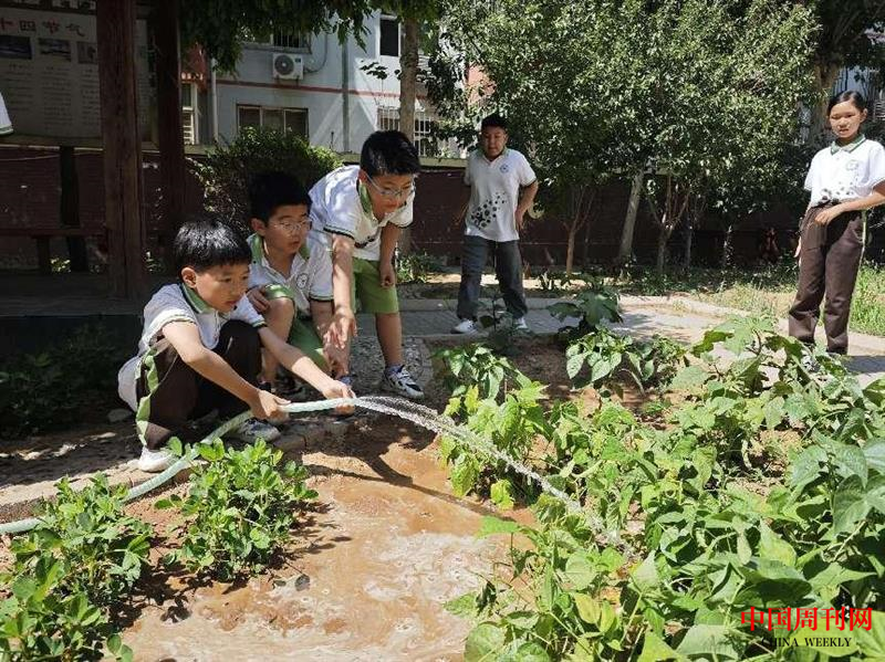 图片13.png 图片13.png