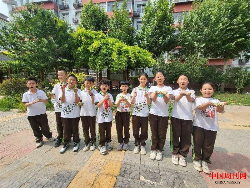 图片14.png 图片14.png