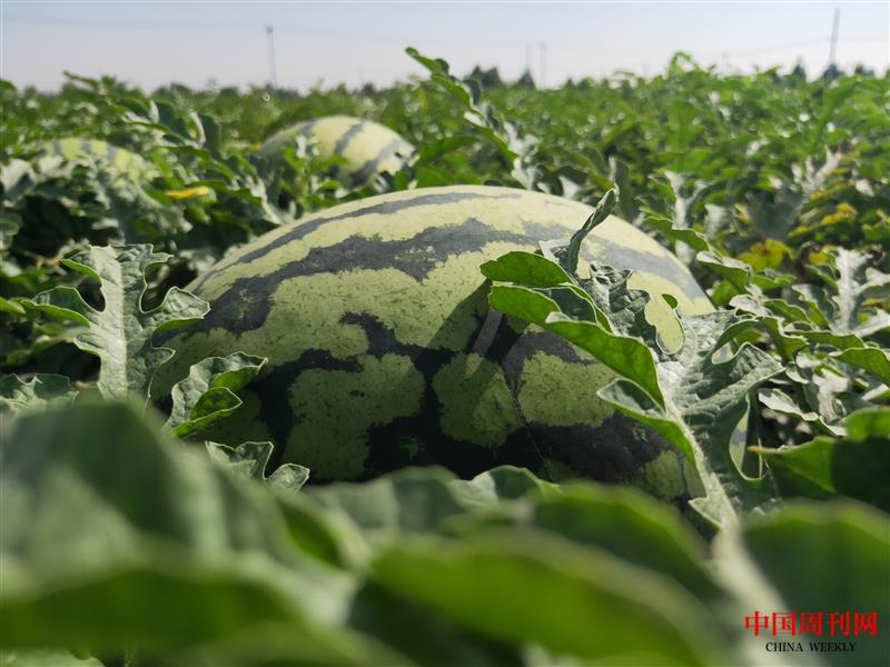 5b5806eabc1dea69e0f851a9afb31f5.jpg 5b5806eabc1dea69e0f851a9afb31f5.jpg