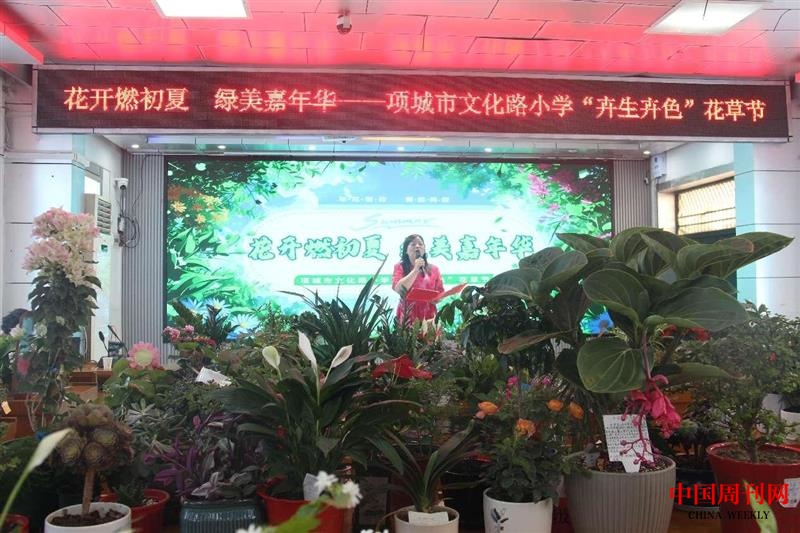 图片1.png 图片1.png