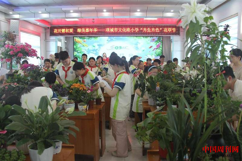 图片3.png 图片3.png