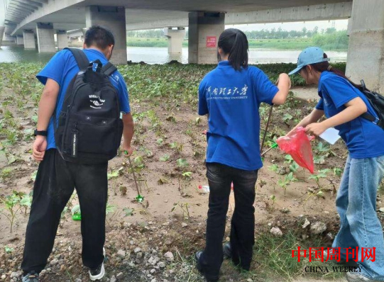 微信截图_20240819110840.png 微信截图_20240819110840.png