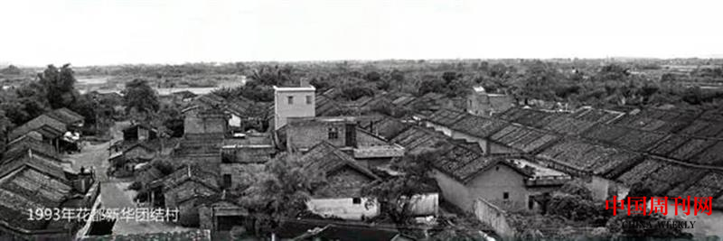 图片 8.png 图片 8.png