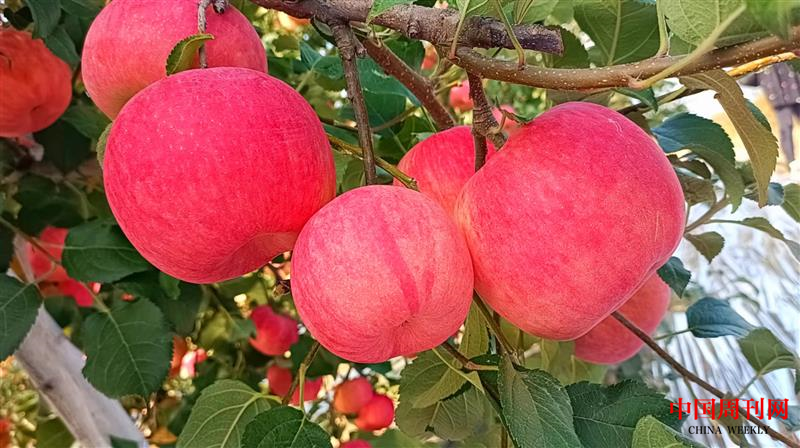 图片6.png 图片6.png