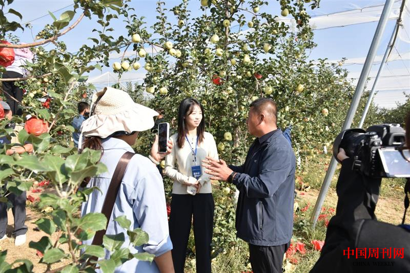 图片16.png 图片16.png