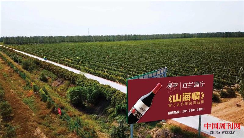 微信图片_20250514123231.jpg 微信图片_20250514123231.jpg