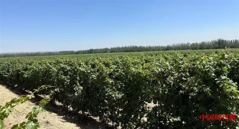 微信图片_20250514123236.jpg 微信图片_20250514123236.jpg