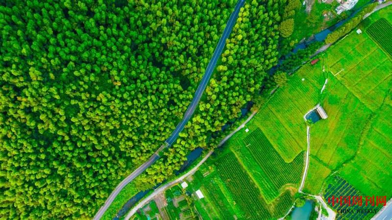 微信图片_20250514123801.jpg 微信图片_20250514123801.jpg