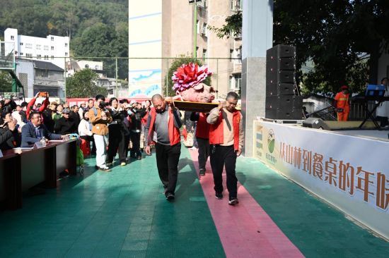 图为福猪巡游。 丁新 摄
